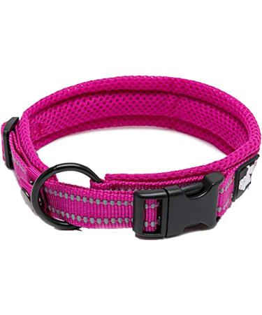 Truelove Dog Training Collar TLC5011 Reflective Premium Buckle Nylon Webbing Pet Dog Collars High Grade Nylon Webbing No Choke Basic Collars Now Available (S Fushcia) S Fushcia