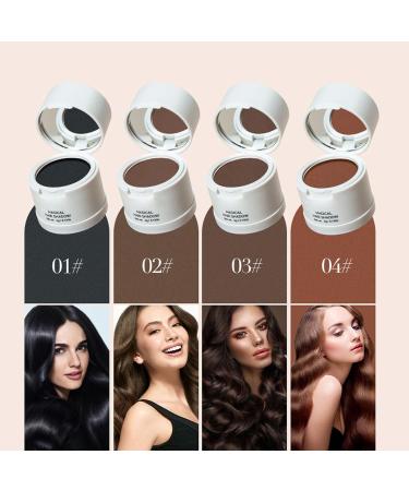 Hair Shadow Powder Portable Soft Sponge 0.14 Oz Hair Root Concealer for Cosmetic (01) - Buy Online on GoSupps.com
