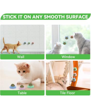 AUCENIX 3-Piece Catnip Balls Toy Set | Dental Chew & Cat Mint Wall Rollers | Edible Kitten Toys in Green Blue & Pink - Buy Online on GoSupps.com