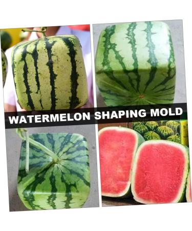 Generic Vegetables Tool Watermelon Grow Mold Vegetable Growth Molds Large Moss Pole Fruit Modeling Big Rod 15x15cm Transparent - Buy Online on GoSupps.com