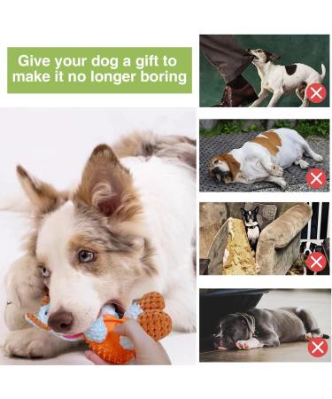 Aeitpet Dog Toys for Large & Small Dogs - Squeaky Plush & Crinkle Filled Cuddly Puppy Toy - Buy Online on GoSupps.com