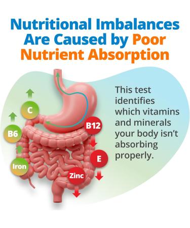 5Strands Nutrition Test: Hair Analysis for 80 Vitamins, Minerals, and Amino Acids - Accurate Results in 5-7 Days for Improved Health and Wellness - Buy Online on GoSupps.com