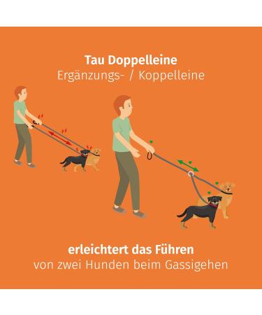 Floxic Dew Double Dog Leash - Reflective Stretchable & Hog-Free for Small to Medium Dogs - Gray/Orange 8mm - Perfect Coupling Leash for 2 Dogs - Buy Online on GoSupps.com