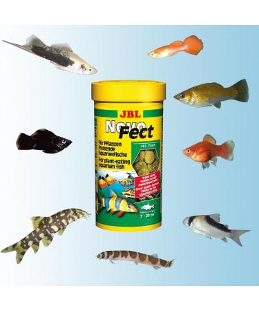 JBL NovoFect 30249 | Complete Food for Herbivorous Aquarium Fish - 1L Tablets | Buy Internationally - Buy Online on GoSupps.com