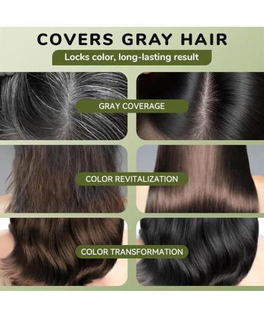 Nbzsmlkn Plant Based Bubble Hair Dye Long Lasting Plant Based Foam Hair Dye Pure Plant Extract 500ml Hair Color Cream Mild Formula Natural Plant For Gray Hair Coverage Black Brown - Buy Online on GoSupps.com