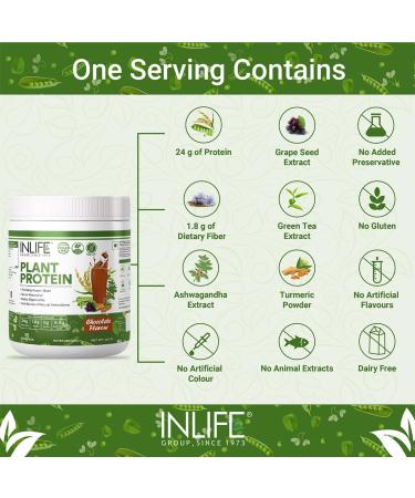 INLIFE Plant Protein Powder - 25g Protein from Pea Quinoa & Brown Rice - Chocolate Flavor with Ashwagandha Green Tea & Grape Seed Extract - 500g International Shipping - Buy Online on GoSupps.com