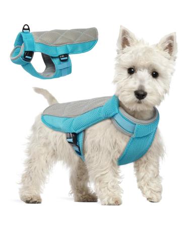 Hjumarayan cooling vest for dogs cooling vest dog with D-rings summer cooling coat for dog cooling hardware breathable cooling dog vest dog cooling vest for hot summer days blue S S blue