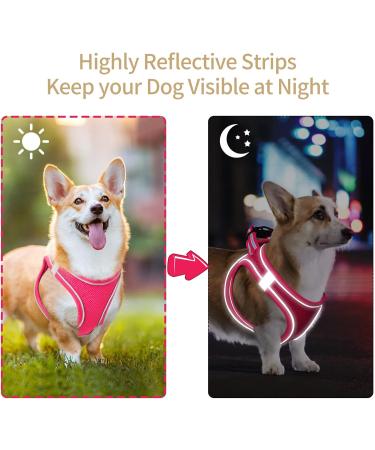 Adjustable Reflective Dog Harness for Small Dogs - Breathable Anti-Train Design Ideal for Walking & Running | Heele - Rose Red (1 Pack) - Buy Online on GoSupps.com