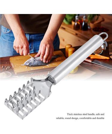 Fish Scaler Brush - Stainless Steel Handle Fish Scale Remover & Cleaning Tool | Perfect for Easy Fish Cleaning - Buy Online on GoSupps.com