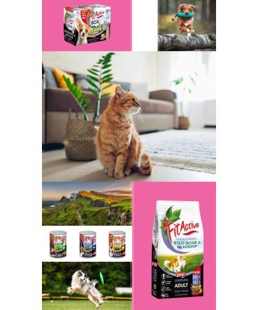 Panzi Pet Pure - Hypoallergenic Dog Food - Adult Dog Food - Mono Protein Formula Without Chicken Poultry and Wheat (12 kg Salmon) - Buy Online on GoSupps.com