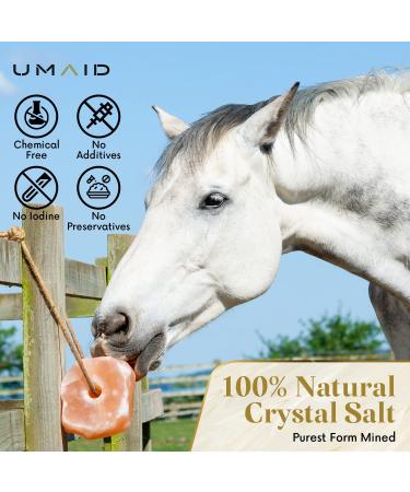 UMAID 6 lbs Himalayan Animal Lick Salt On Rope for Horses, Deer, Livestock - 2 Count - Buy Online on GoSupps.com