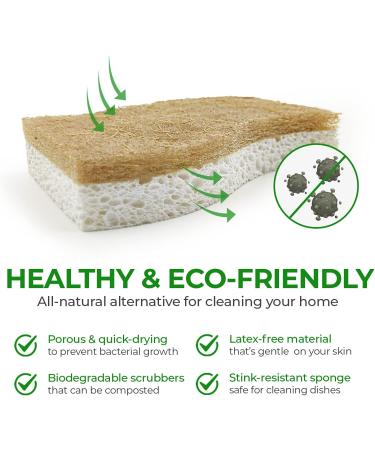 AIRNEX Biodegradable Natural Kitchen Sponge - Pack of 12 Eco Friendly Compostable Sponges for Dishes - Buy Online on GoSupps.com