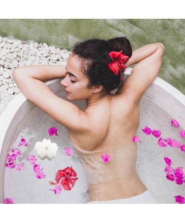 Hot Tub Scum Absorber - Reusable Oil Absorbing Sponge Effective Oil Scum Grime Remover Cherry Blossom Scumbug Hot Tub Accessories for Spa Swimming Pool/a A: 1 - Buy Online on GoSupps.com