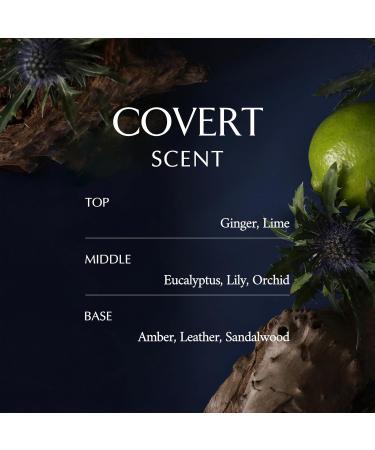 LA MUSE Body Care DUO: Perfume Recovery Body Cream(Covert 10.14fl oz) & Body Cleanser(6.76 fl oz) Best Korean Skin Care Body Care Set - Buy Online on GoSupps.com