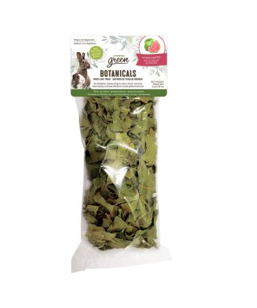 Living World Green Botanicals Dried Leaf Treat - Guava Leaves - 10 g (0.35 oz)