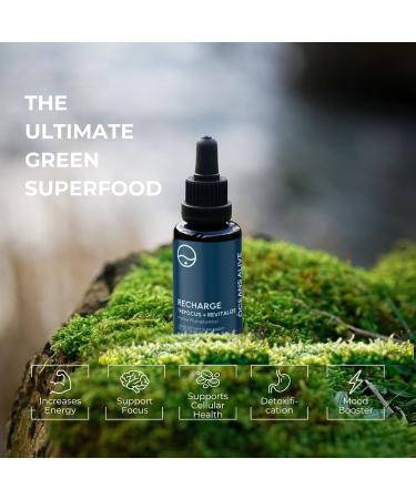 Activation Products Oceans Alive Marine Phytoplankton Brain Supplement 30ml - Enhances Memory, Focus, Energy for Men and Women - Buy Online on GoSupps.com