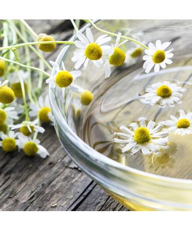 Blanks Co KG Chamomile flowers organic 500g whole and dried in organic quality chamomile tea from whole flowers 100 natural slightly bitter and delicate in taste vom Achterhof 500 g pack of 1 - Buy Online on GoSupps.com