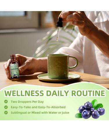 Liquid Iron Supplement for Women Men & Kids, Vegan Iron Drops with Vitamin C D, B12, B-Complex, High Potency Liquid with Multivitamin for Anemia, Energy Support, Blood, Magnesium Gentle Blueberry 2 Fl Oz (Pack of 1) - Buy Online on GoSupps.com