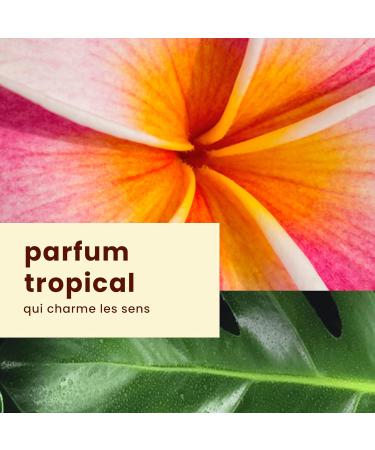 Hawaiian Tropic Island Sport Ultra-light Sport Sunscreen Spray SPF 50 Broad Spectrum Protection 170g - Buy Online on GoSupps.com