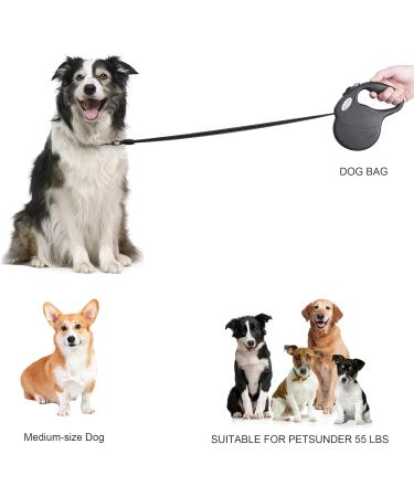 Dog Lead Retractable 5M Extendable Dog/Pet Leads/Leash with Waste Bag Dispenser and Poop Bags Extendable Tape Lead Belt for Dogs Pets Puppy up to 50KG/5m (110 lbs/16ft) 50kg-with waste bag Dispenser - Buy Online on GoSupps.com