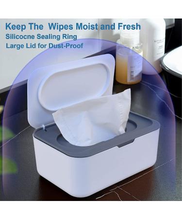 2 Pack Baby Wipes Dispenser with Lids - Refillable Wipe Holder for Bathroom & Travel - Keeps Wipes Fresh - Grey & Blue - Buy Online on GoSupps.com