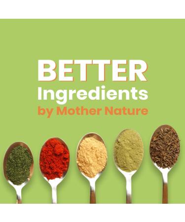 Lemonilo Chicken Chow Mein Ramen - Healthy Instant Noodles with Spinach and Leek - All-Natural Ingredients - Quick Meal Kit (3.53 Oz) - Pack of 6 - Buy Online on GoSupps.com