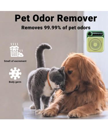 Cat Litter Deodorizer - 99% Odor Neutralizer & Intelligent Odor Remover Device | Portable Air Purifier for Cats & Dogs - Buy Online on GoSupps.com