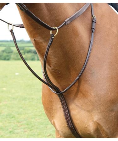 Shires Salisbury Running Martingales Australian Nut Cob