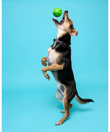 Hartz Dura Play Bacon Scented Squeak Ball Dog Toy - Small (3 Pack) - Buy Online on GoSupps.com