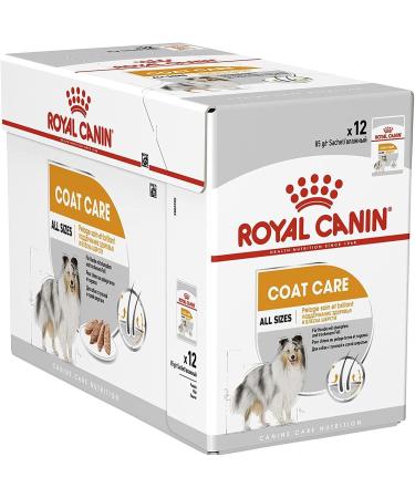 Royal Canin Coat Care Loaf | 12 x 85 g | Complete Food for Adult Dogs of All Breeds | May Help Support Healthy Skin and Coat