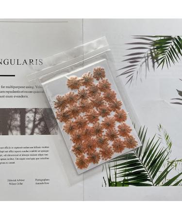 100pcs Ammi Majus Natural Pressed Dried Flowers for Resin, Soap & Candle Making (Orange) - Buy Online on GoSupps.com