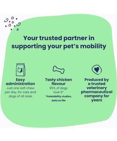Vetoquinol Flexadin Advanced (with boswellia) Dog Joint Supplement One Unit a Day for Dogs 60 Chews - Buy Online on GoSupps.com