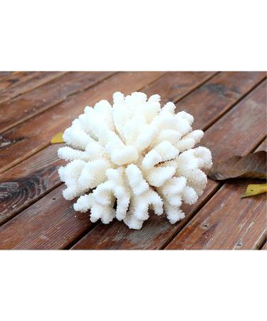 Buy Besimplle 2-Piece Artificial Coral Ornaments - Aquarium Resin Coral Decor & Underwater Sea Plants for Stunning Decor - Buy Online on GoSupps.com