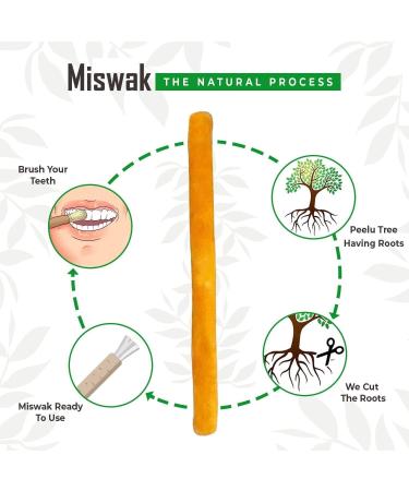 Golden Miswak Sticks - Natural Muslim Tooth Stick with Condensed Extract for Whiter Teeth and Healthy Gums - 8 Inch Yellow Toothbrush for Oral Health (1 Count) - Buy Online on GoSupps.com
