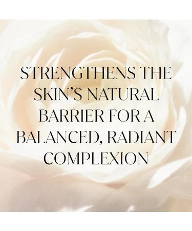 FEMMUE Lumi re Refiner Exfoliating Essence (4.05 fl oz) | Hydrating Korean Toner with AHA BHA PHA & Vitamin C | Gently Smoothes Skin Texture & Evens Tone | Preps Skin for Serums & Moisturizers - Buy Online on GoSupps.com