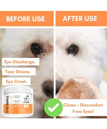 Dog Eye Wipes | Safe & Easy Cleaning Eye Wipes For Dogs | Remove Tear Stains Dog Eye Crust & Eye Discharge | Pack Of 100 | Soothing Aloe Vera Formula! - Buy Online on GoSupps.com