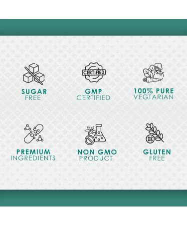 AMBROSIAL Milk Thistle Capsules - Pack of 1-60 Capsules 60 Count (Pack of 1) - Buy Online on GoSupps.com