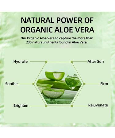 New Cover Aloe Vera Moisturizing Cream Soothing Face Moisturizer With Organic Aloe Vera Instantly Soothes and Hydrates Skin Care | Non-Greasy Anti Wrinkle Facial Cream for Men Women All Skin Types - Buy Online on GoSupps.com