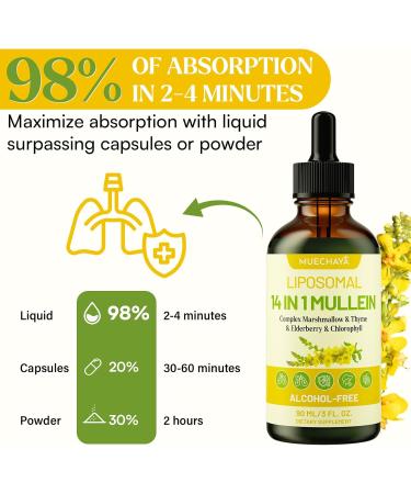 Mullein Drops For Lungs Liposomal 14 In 1 Mullein Leaf Extract For Lungs Mullein Drops with Elderberry Chlorophyll Thyme - for Lung Cleanse Detox Respiratory Immune Health 3 Fl 0Z Mint Flavor 3 Fl Oz (Pack of 1) - Buy Online on GoSupps.com