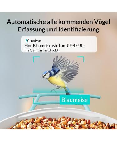 Netvue Bird Feed Donor & Camera - AI-Powered Bird Feeder with Species Detection | Bird House & Feed Stations for Wild Birds - Buy Online on GoSupps.com