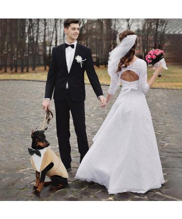 Dog Smoking Suit - Striped Gentleman Wedding Outfit for Dogs | Formal Pet Clothing in Champagne (M) - Buy Online on GoSupps.com