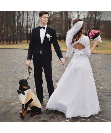 Stylish Dog Wedding Suit - Champagne Tuxedo for Chihuahua - XXL - Buy Online on GoSupps.com