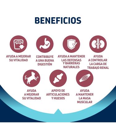 Advance Cat Senior Sterilized Cat Food Sterilized with Chicken 1.5 kg - Buy Online on GoSupps.com