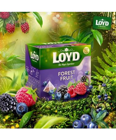 Loyd the Magic Experience Forest Fruit Flavoured Fruit Tea 40g | 20 Tea Bags | Poland Tea Brand | Tea Bags Individually Wrapped | Tea for Every Guest (Forest Fruit 2 Pack) Forest Fruit 2 Pack - Buy Online on GoSupps.com