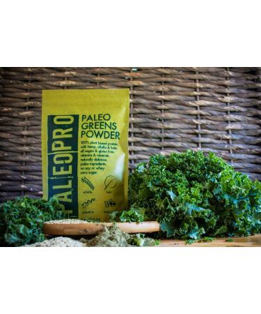 PaleoPro Paleo Greens Powder | Plant-Based Vegan Protein | 30 Servings - Buy Online on GoSupps.com