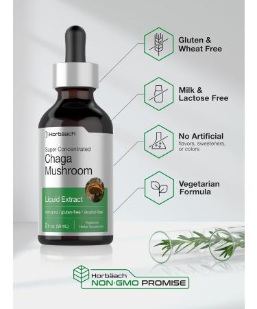 Horb ach Chaga Mushroom Liquid Extract | 2 Fl Oz | Vegetarian Tincture | Alcohol Free | Non-GMO Gluten Free - Buy Online on GoSupps.com