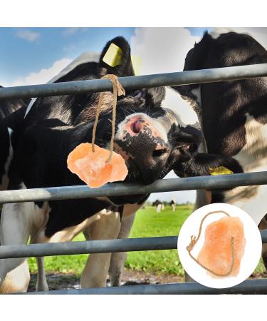 POPETPOP Salt Brick Blocks Livestock Salt Lick Animal Cow Lick Blocks Salt Block Livestock Natural Salt Small Pet Nutrition - Buy Online on GoSupps.com