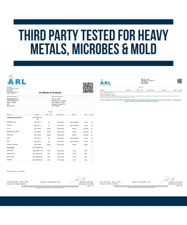 Dr. Westin Childs Essential T2 - T2 Thyroid Support Supplement with Bio-Identical 3 5 Diiodo-l-thyronine for Hypothyroidism Hashimoto's Thyroidectomy & Rai Non GMO 60 Day Supply - Buy Online on GoSupps.com