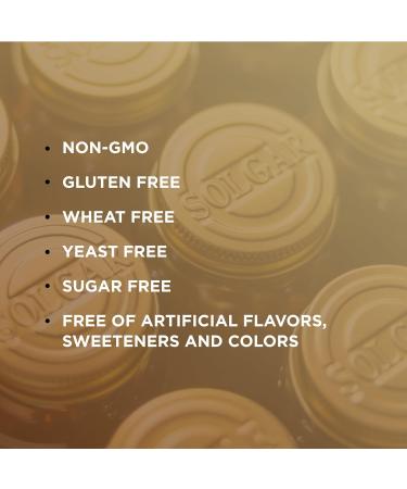 Solgar Calcium 600 120 Tablets Pack of 2 with Vitamin D3 | Non-GMO, Gluten-Free, Dairy-Free | Oyster Shell Sourced | 120 Total Servings - Buy Online on GoSupps.com