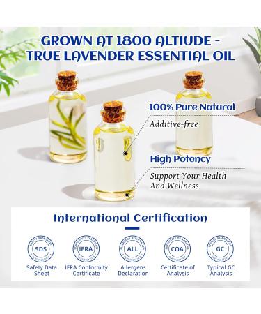 HIQILI Lavender Essential Oil 100ml - 100% Pure & Undiluted for Sleep, Aromatherapy, Skin Care, Hair Growth - Calming & Relaxing Formula - Pack of 1 - Buy Online on GoSupps.com